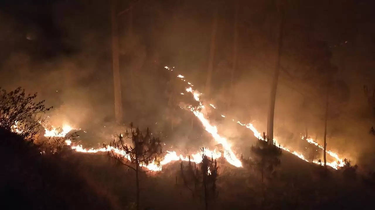 उत्तराखंड में जंगलों की आग से तबाही, 24 घंटे में 2 घर जलकर हुए राख 