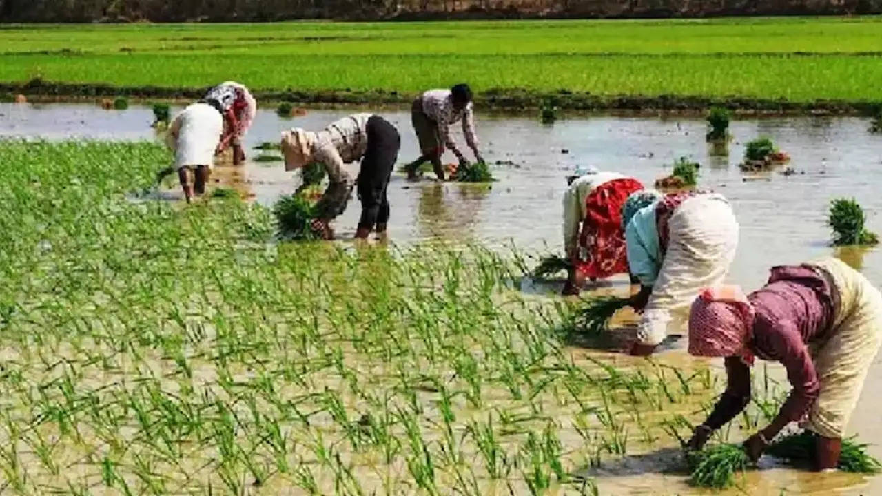 PMKSNY: किसान बनेंगे मालामाल, किस्त की राशि बढ़कर होगी इतने हजार रुपये