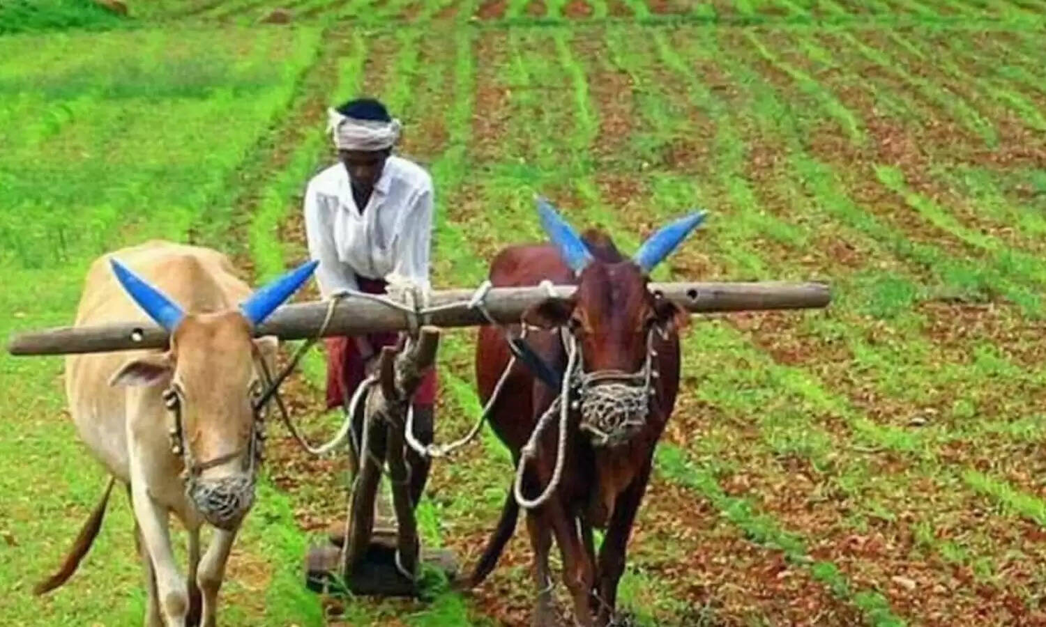 PMKSN: किसान होने जा रहे मालामाल, इस तारीख को अकाउंट में आएगी अगली किस्त