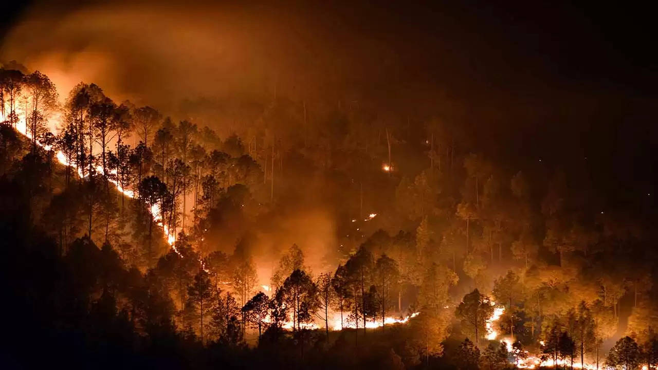 उत्तराखंड : जंगल की आग का तांडव, धुएं से घिरा आसमान; उड़ानें हुई रद्द