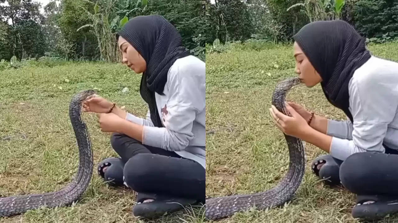 जहरीले किंग कोबरा को चूमने लगी बेखौफ लड़की, देखें वीडियो