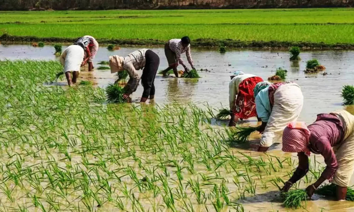 PMKSN: किसानों को 12वीं किस्त से पहले मिली एक और खुशखबरी, 2,000 नहीं इतने हजार रुपये आएंगे अकाउंट में