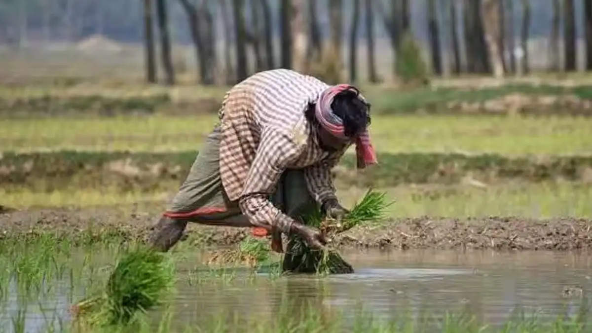 किसानों की लगी लॉटरी, सरकार इन लोगों के खाते में भेज रही 6000 रुपये, करें चेक