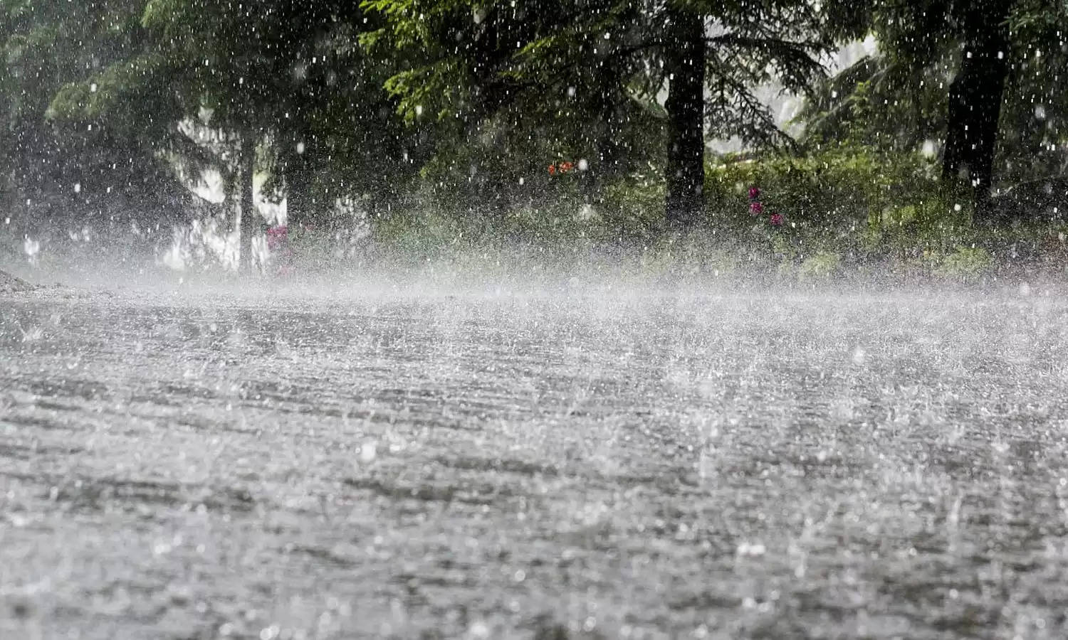 Uttarakhand News Bulletin-06 : बारिश से पांच ब्रांच सड़कें बंद, जानिए रुद्रप्रयाग की ऐसी ही तमाम छोटी बड़ी खबरें...