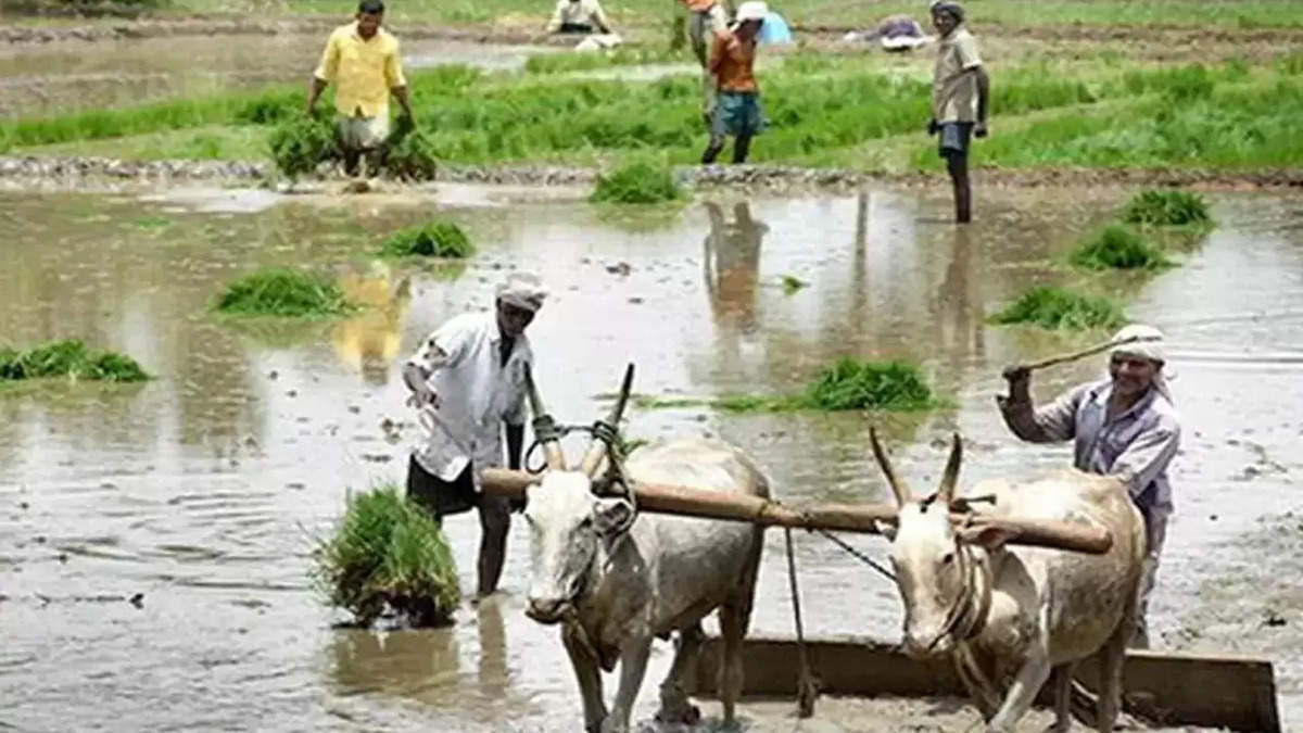 बुजुर्ग किसानों के लिए बड़ी राहत! 60 साल बाद मिलेगी ₹3,000 प्रति माह पेंशन, जानिए पूरी जानकारी