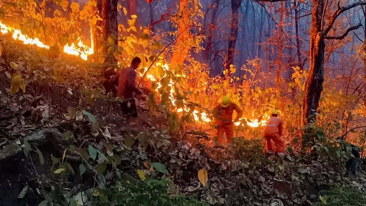 Uttarakhand : जंगल जलाने वालों पर शिकंजा कसेगा वन विभाग, जेल और जुर्माने के साथ होगी नुकसान की भरपाई