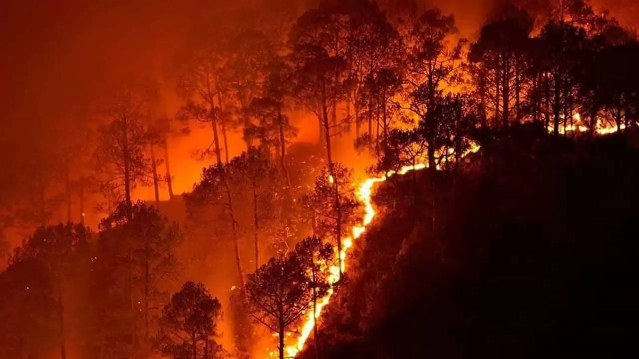 Uttarakhand : वन विभाग को जंगल की आग बुझाने में आ रही मुश्किलें, बारिश से मिल सकती है राहत
