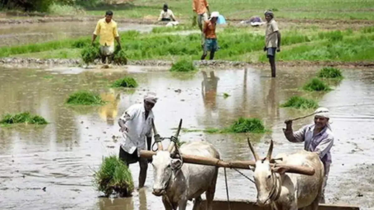 PM KISAN YOJANA: किसानों का इंतजार खत्म! समय से पहले आएंगे अगली किस्त के 2,000 रुपये