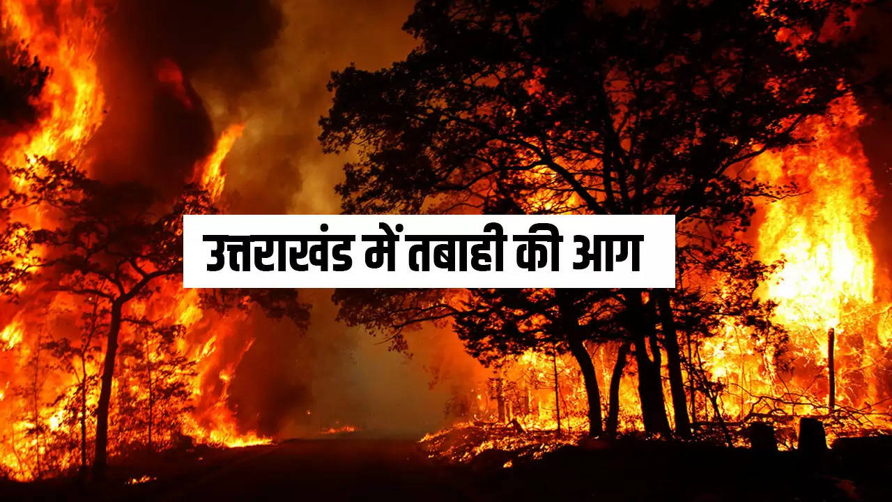आग का कहर: उत्तराखंड में 6 लोगों की जलकर मौत, 1300 हेक्टेयर जंगल तबाह