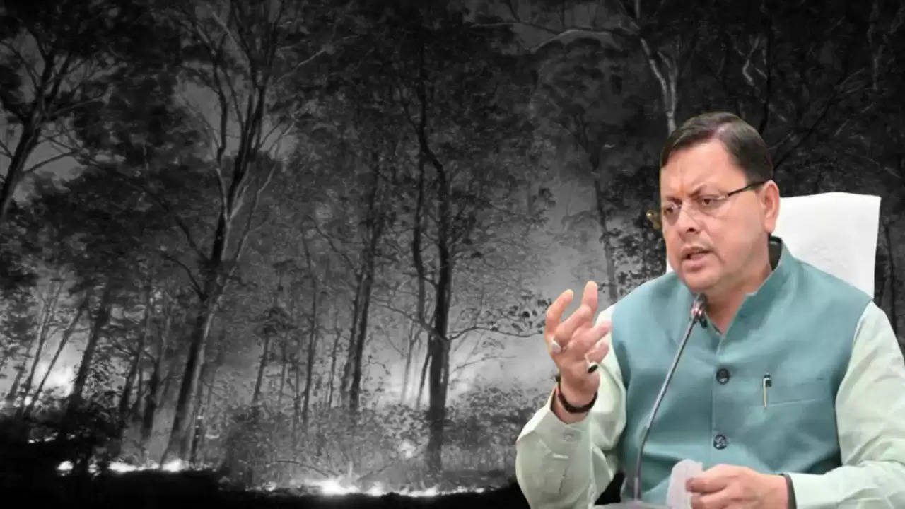 उत्तराखंड: जंगल की आग पर काबू पाने के लिए मुख्यमंत्री ने अधिकारियों को दिए निर्देश