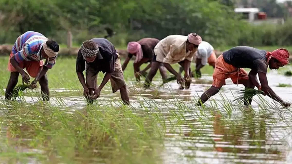 PM Kisan Yojana: Check the Latest News on 18th Installment Release