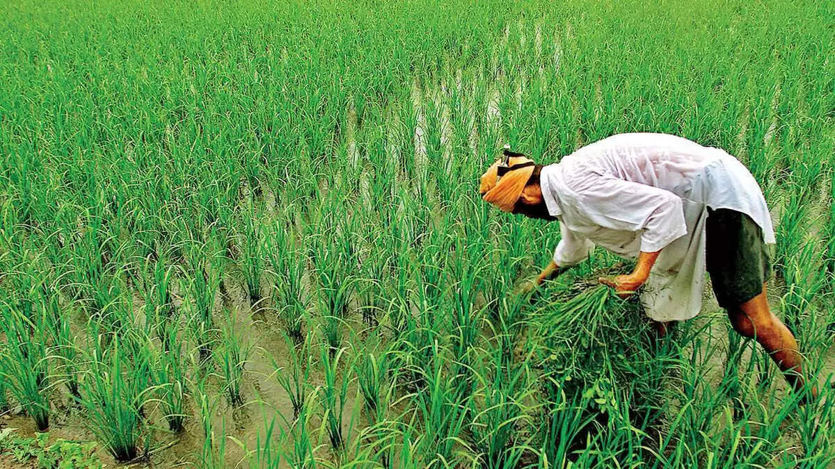 18वीं किस्त की तारीख घोषित: किसानों के खाते में आएंगे 2000 रुपये, लेकिन पहले जरूर करें ये काम 