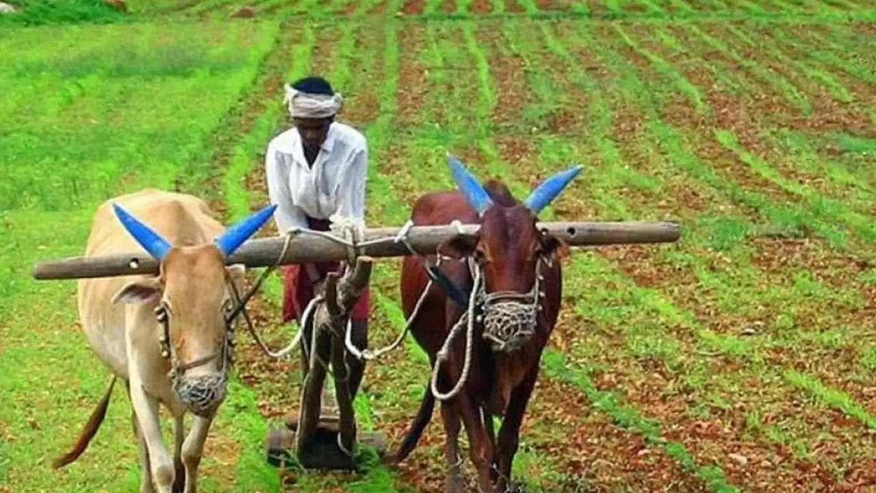 किसानों को झटका! 2,000 रुपये की किस्त पर लटकी तलवार, जानिए बड़ी अपडेट