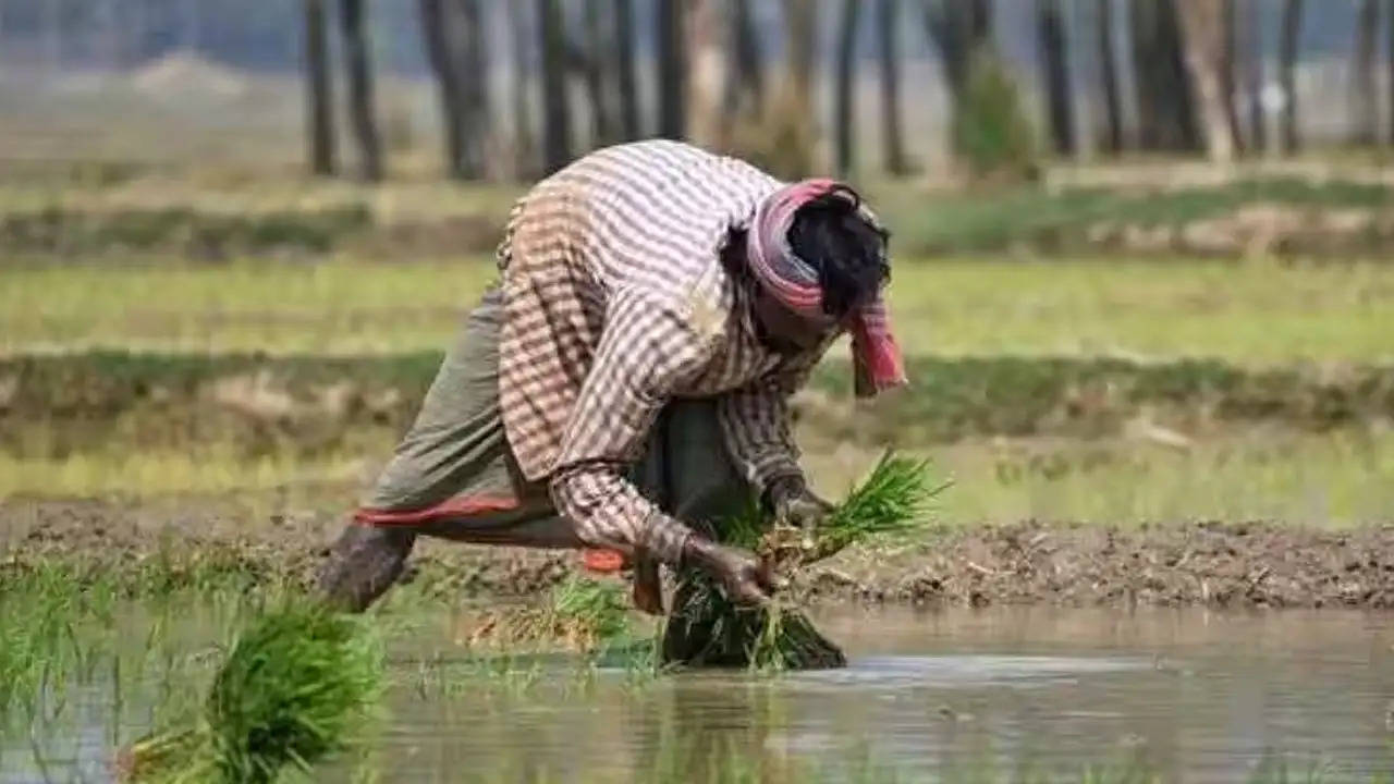 PMKMY: लघु-सीमांत किसानों की खुशी का नहीं ठिकाना, हर महीना मिलेगी 3,000 रुपये पेंशन