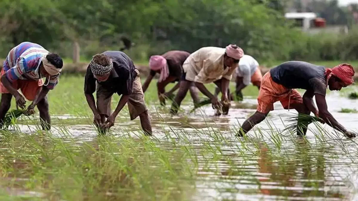 पीएम किसान योजना नई अपडेट! इन किसानों को मिलेगा ₹6000, अभी चेक करें