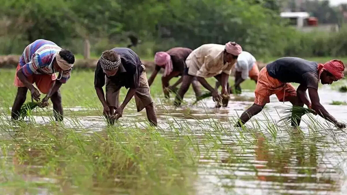 Weather Emergency: Intense Rainfall Could Cause Disruptions,Prepare and Stay Safe