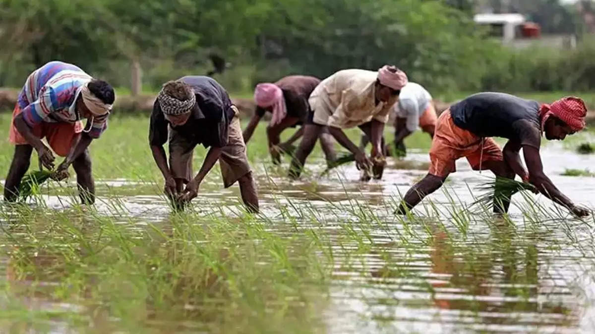 PM Kisan Yojana : पीएम किसान योजना में बड़ा अपडेट, 18वीं किस्त की तारीख हुई घोषित