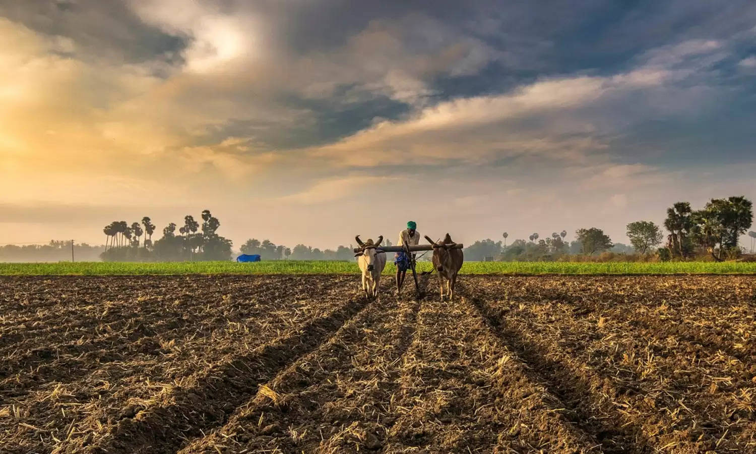 किसानों के लिए खुशखबरी, इस दिन मिलेगी 12वीं किस्त की राशि, पीएम मोदी ने ट्वीट कर कही बड़ी बात
