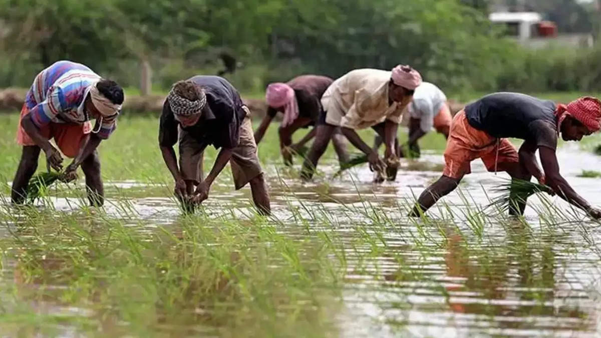 PM Kisan Nidhi 18th Installment: किसानों को झटका, 2000 रुपये की योजना में हुए बदलाव