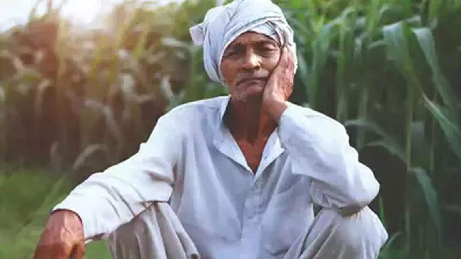 PM Kisan Yojana: 15वीं किस्त लेने से पहले किसानों को करना होगा ये काम, आया अपडेट