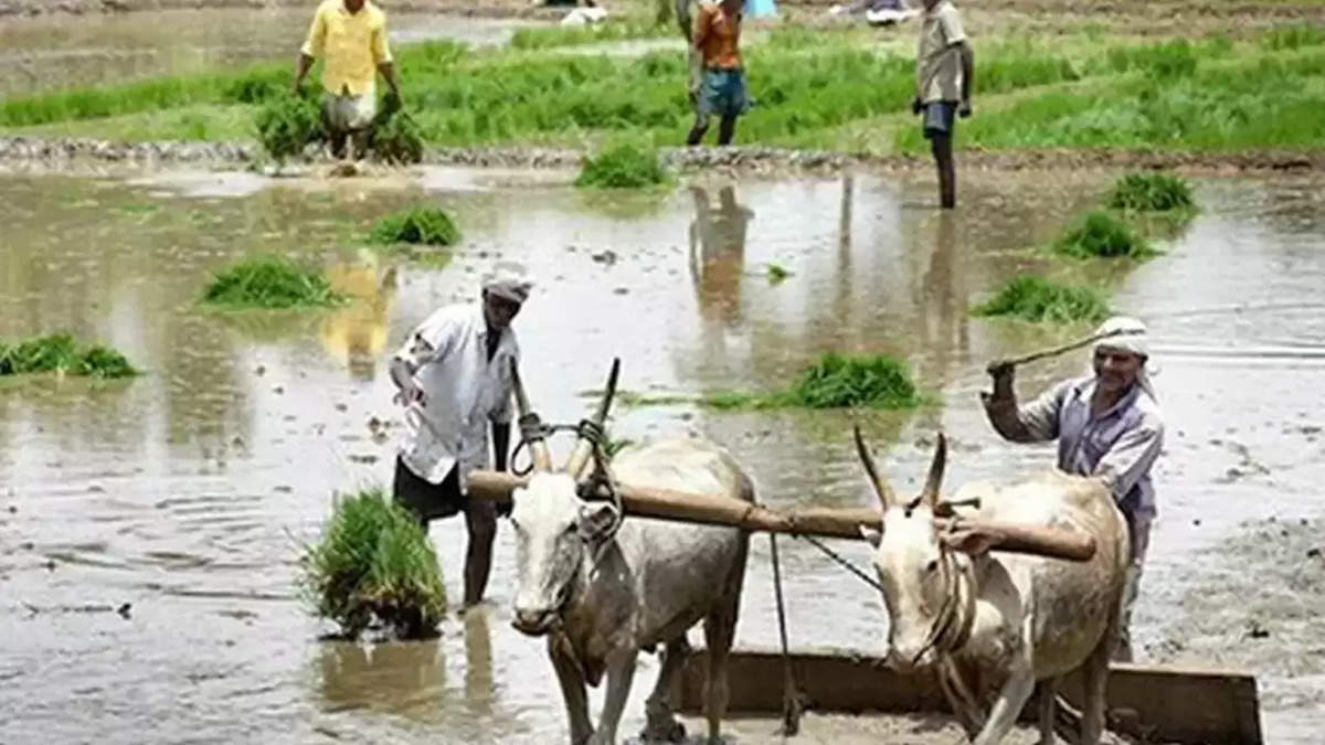 पीएम किसान योजना :  17वीं किस्त के लिए आया ये बड़ा अपडेट, ऐसा नहीं करने से अटक सकती है किस्त