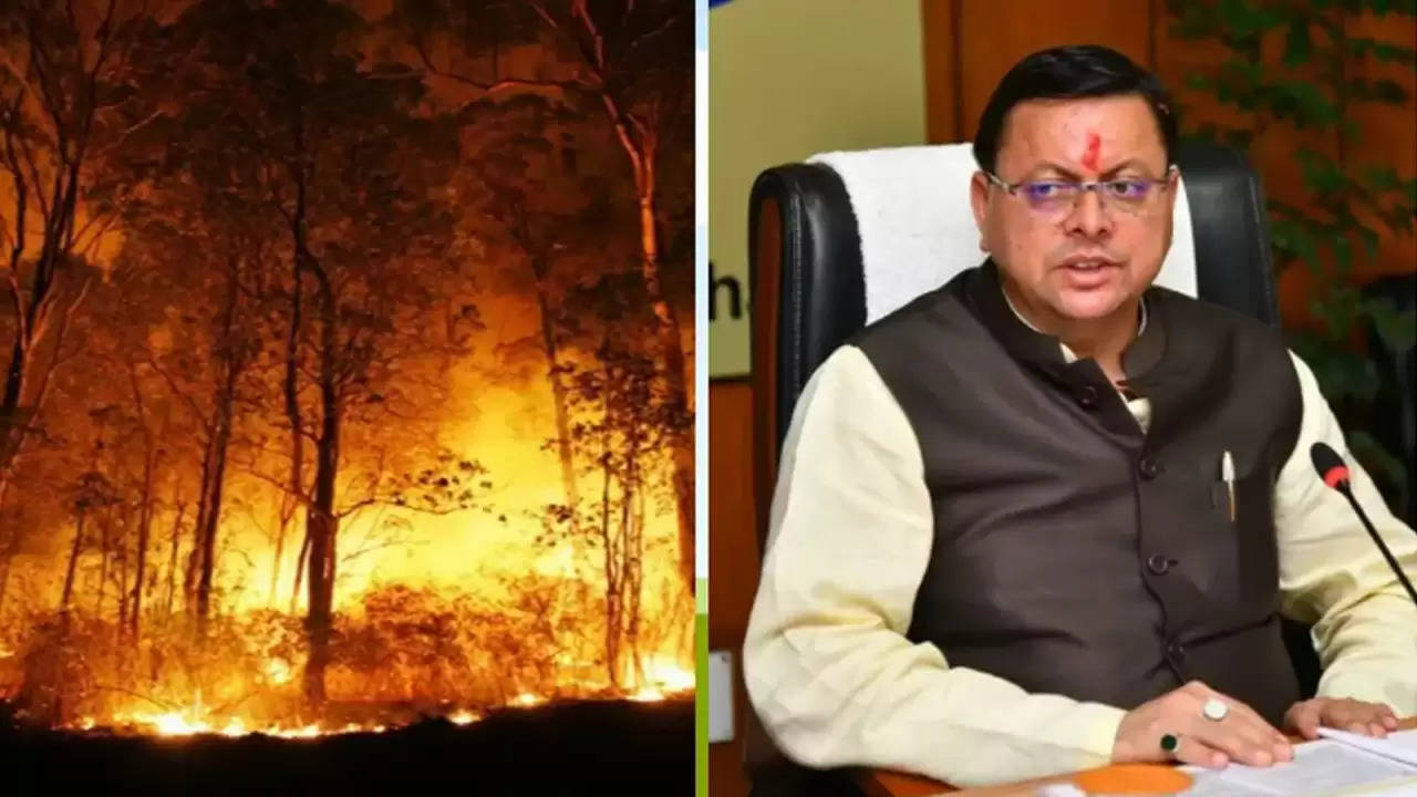 Uttarakhand Forest Fire : लापरवाही बरतने वाले वन विभाग के 10 कर्मियों को धामी सरकार ने किया निलंबित