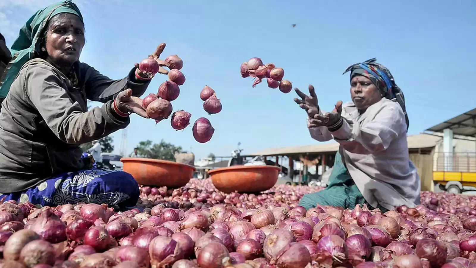 Onion Price: प्याज खरीद के लिए जारी किया नया रेट, इसके बावजूद क्यों गुस्से में हैं किसान? जानें वजह