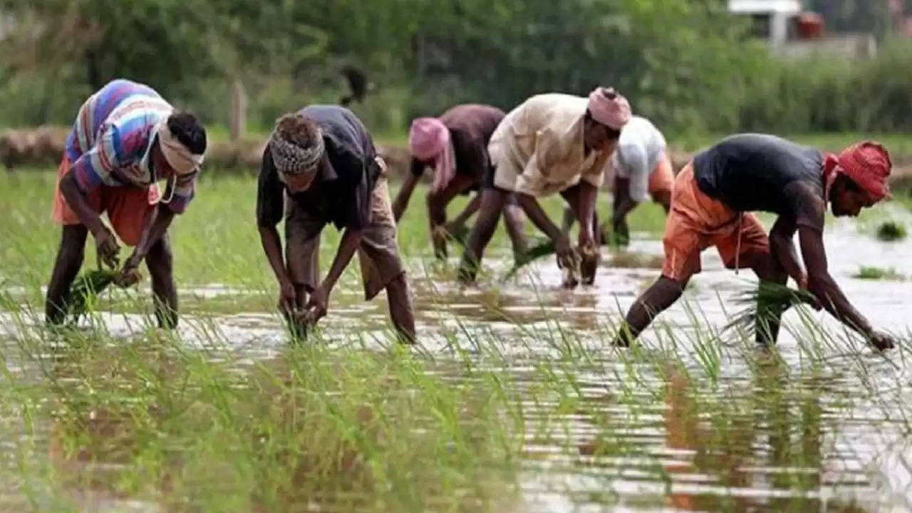 PM KISAN: खुशखबरी! सरकार ने किसानों पर कर दी पैसों की बारिश, किस्त की राशि में हुई रिकॉर्डतोड़ बढ़ोतरी