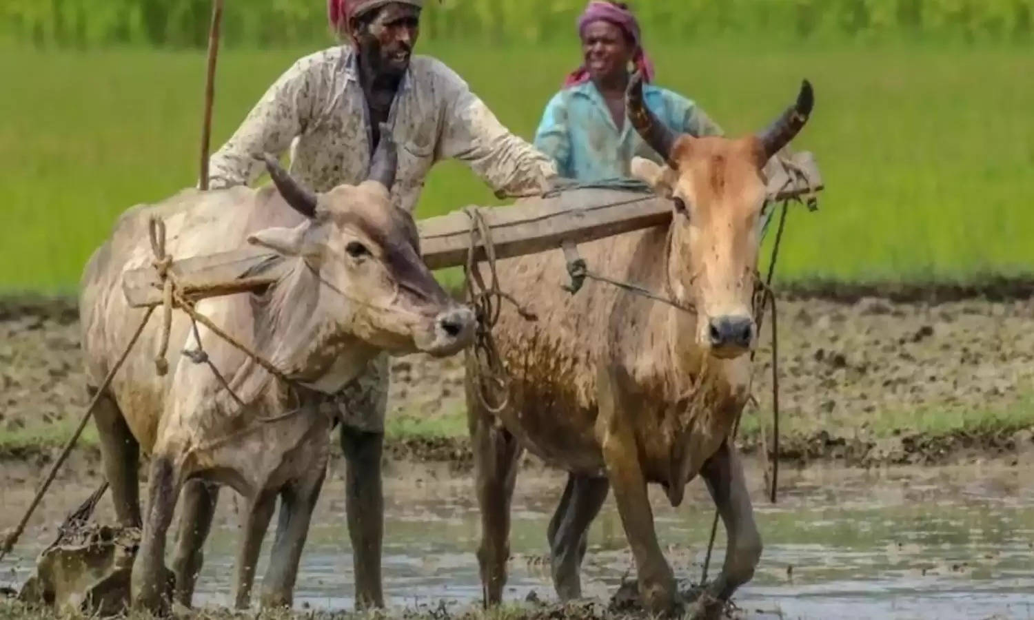 पीएम किसान सम्मान निधि के लाभार्थियों को दिन निकले ही मिली बड़ा सौगात! किस्त की राशि बढ़कर हुई इतने हजार रुपये