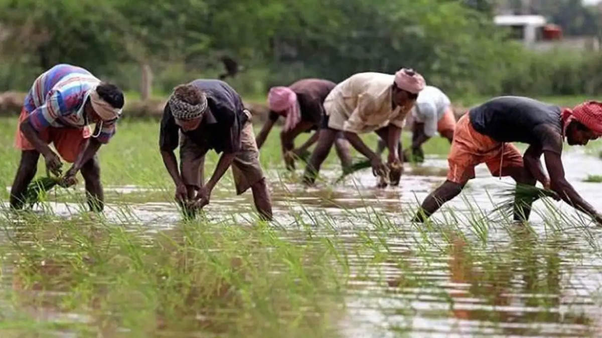 किसानों को चौकाने वाला अपडेट, इन लोगों से वापस लिया जाएगा किस्त का पैसा, पढ़ें डिटेल