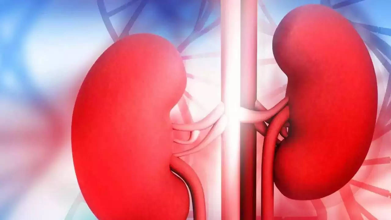 Kidney Health: किडनी को हेल्दी रखने के लिए 5 जादुई फल, जानिए कैसे सेवन 