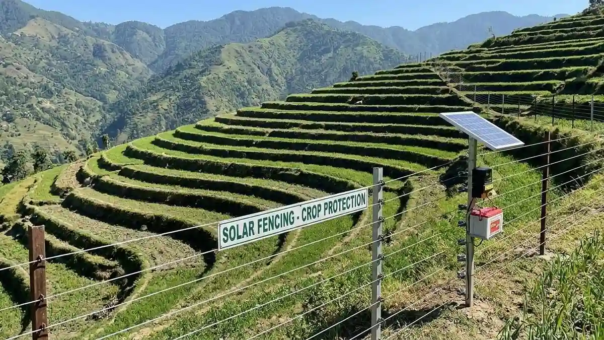धामी सरकार के प्रयासों से फिर शुरू हुई घेर-बाड़ योजना में केंद्रीय फंडिंग, 25 करोड़ का बजट आवंटित