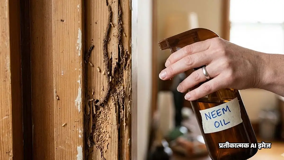 Home Remedies For Termites