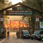 राजाजी टाइगर रिजर्व में मंत्री के बेटे की शादी पर बवाल: पंडाल हटा, मंदिर समिति पर मुकदमा