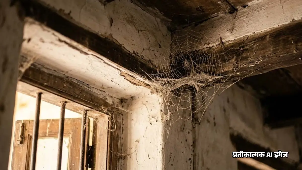 Spider Web Vastu Tips