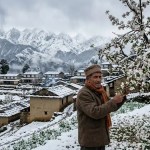 Uttarakhand Weather Update : खिलते सेब और पकती गेहूं पर 'कुदरती मार', उत्तराखंड में बेमौसम बारिश ने बढ़ाई किसानों की धड़कनें 2 Uttarakhand Weather Update : खिलते सेब और पकती गेहूं पर ‘कुदरती मार’, उत्तराखंड में बेमौसम बारिश ने बढ़ाई किसानों की धड़कनें