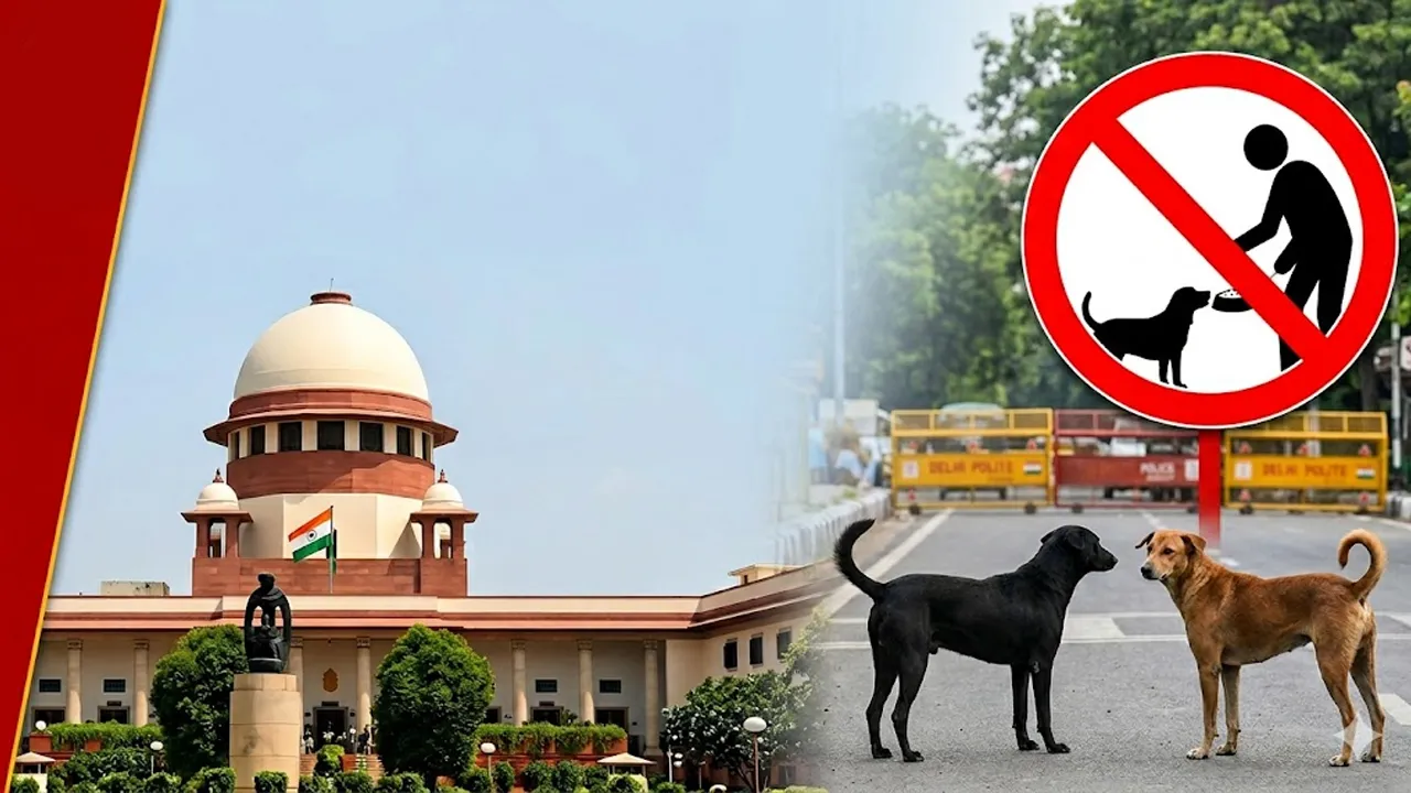 आवारा कुत्तों पर सुप्रीम कोर्ट का बड़ा फैसला, खुले में खाना खिलाने पर रोक - देखें नई गाइडलाइन