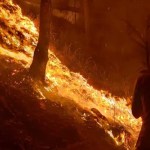 उत्तराखंड के जंगलों में धधकी आग, 250 से ज्यादा अलर्ट जारी, मसूरी-चकराता में दहशत