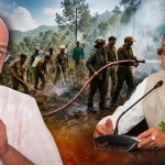 Uttarakhand Forest Fire: जंगलों को आग से बचाने के लिए धामी सरकार का बड़ा फैसला, मिलेगा 1 लाख तक इनाम
