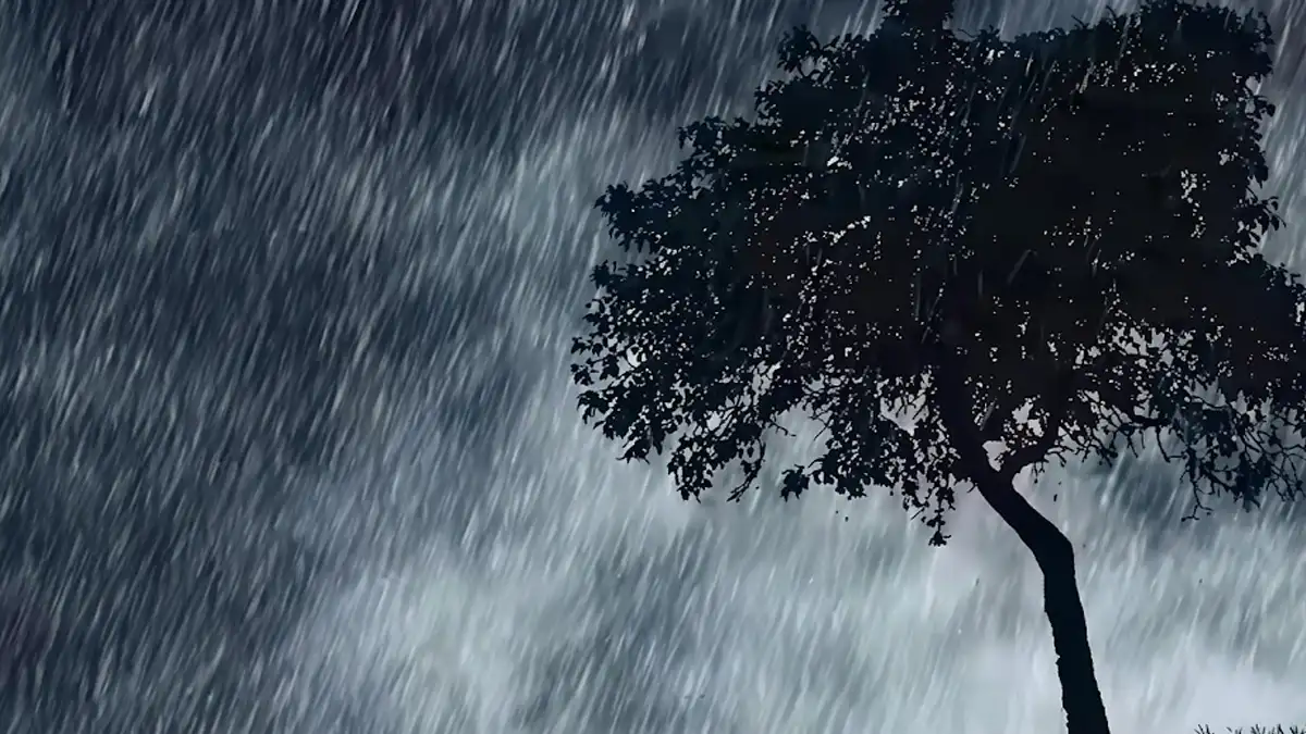 Uttarakhand Weather : उत्तराखंड में 48 घंटे का ऑरेंज अलर्ट, पहाड़ों में बर्फबारी और भारी बारिश का अलर्ट
