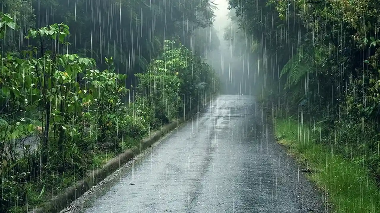 Uttarakhand Monsoon : उत्तराखंड में जून के अंत तक पहुंचेगा मानसून, अल नीनो के कारण उत्तर भारत में थमी रफ्तार