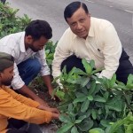 दफ्तर जाते समय अचानक रुके MDDA उपाध्यक्ष बंशीधर तिवारी, सड़क किनारे खुद फावड़ा थाम लगाया पौधा!