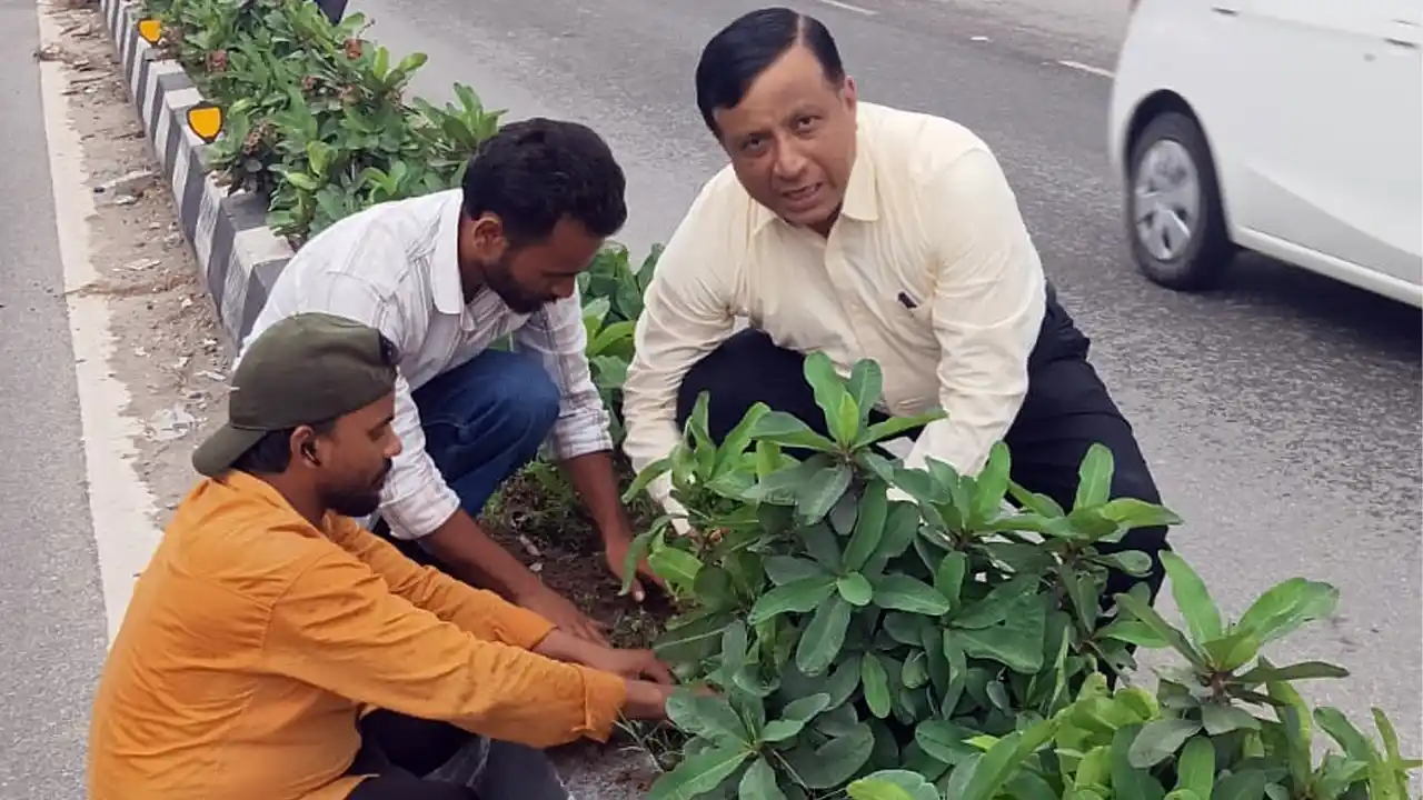 दफ्तर जाते समय अचानक रुके MDDA उपाध्यक्ष बंशीधर तिवारी, सड़क किनारे खुद फावड़ा थाम लगाया पौधा!