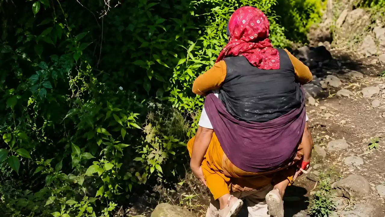 Uttarkashi News : पहाड़ों में 'पीठ' ही है एंबुलेंस, सड़क न होने से घायल महिला को 4 किमी पीठ पर लादकर ले जाया गया अस्पताल